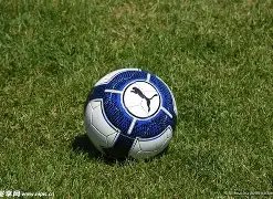 焦点热议,邵佳一执掌,国足教鞭引,PA,真人视讯官网,娱乐游戏,APP,下载,PA,Gaming